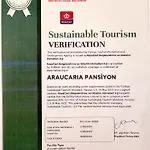 Araucaria