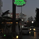 Araucaria