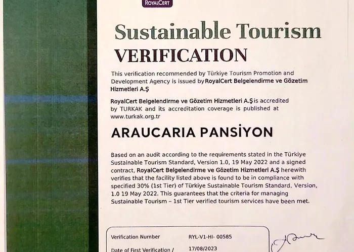 Araucaria