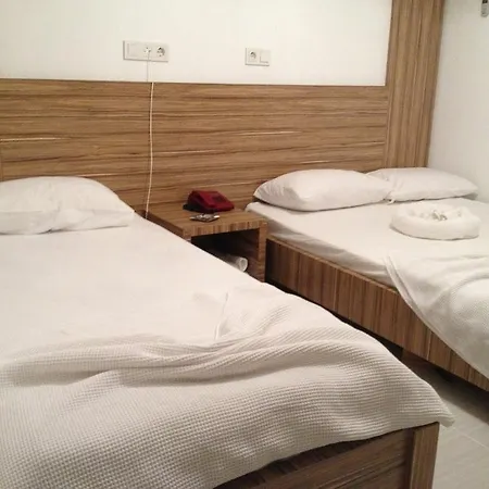 Araucaria Pension 2*
